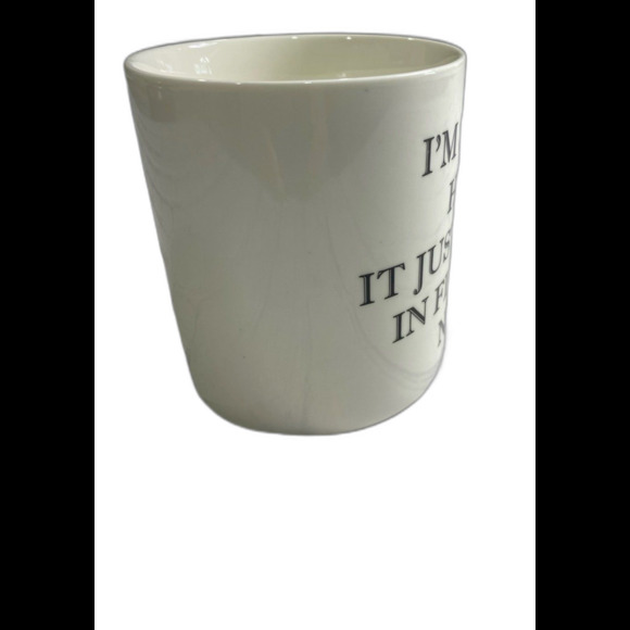 Home Essentials “I’m Still Hot, It Just Comes In Flashes Now” Ceramic Mug. LNWOT - Picture 2 of 8